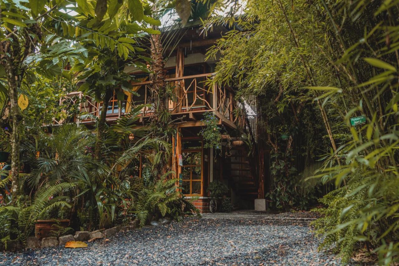 Hostal Las Palmas Puyo Exterior foto